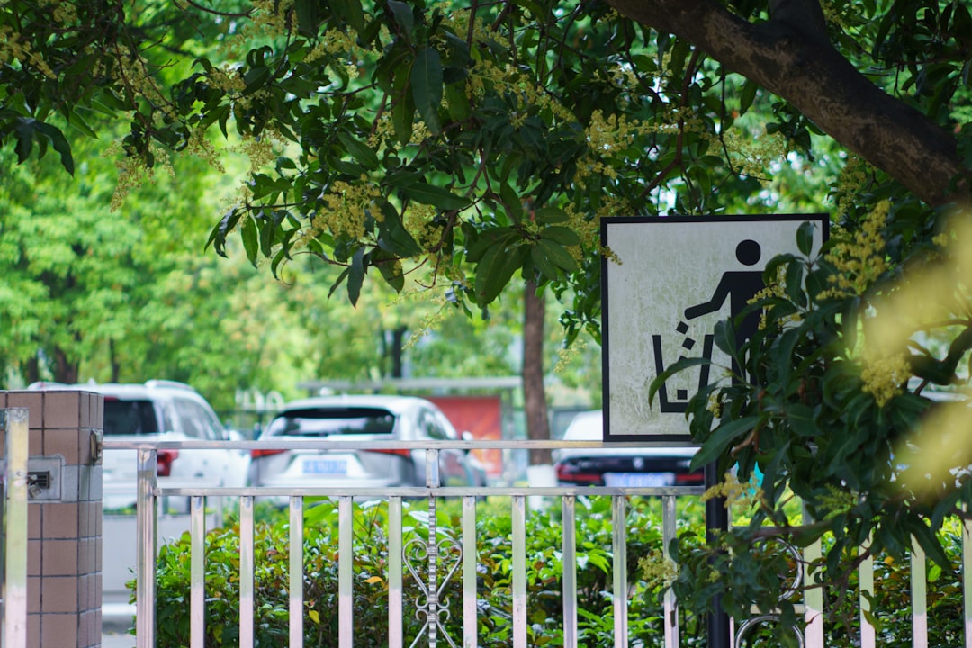 So hilft der aktive Parkassistent beim stressfreien Einparken