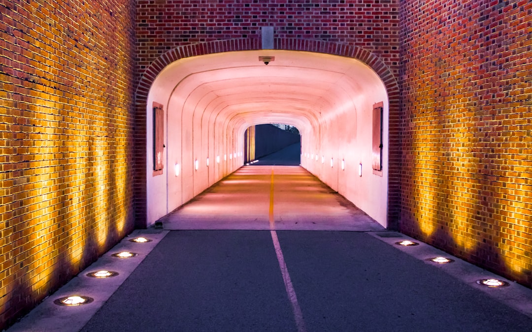 Richtiges Verhalten im Tunnel mit Gegenverkehr: Sicher unterwegs in beengten Röhren